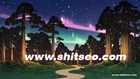 怀化网络推广：提升企业在线影响力的必备策略