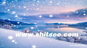 aisedao5域名SEO优化分析：提升网站排名与用户流量的策略