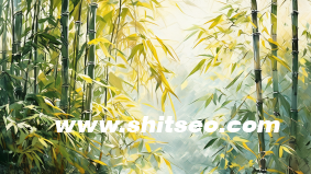 网络赚钱之新形式网站SEO