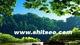 如何通过“郴州网站SEO”提升企业网络竞争力与品牌曝光