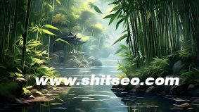 SEOer需要会的技术