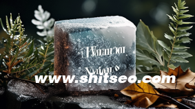 SEO每天的工作内容?