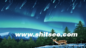 提升“株洲网站SEO”排名的实用策略与优化方法