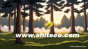 提升网站排名与流量的核心——岳阳网站SEO优化策略
