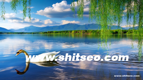 开封网络推广：提升品牌曝光与客户转化的高效策略