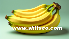 新网站如何做SEO优化