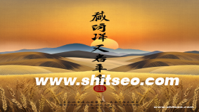 xkd域名的SEO价值解析：独特字母组合的品牌潜力