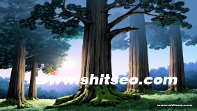 洛阳网络推广：助力本地企业实现数字化转型的关键策略