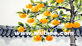 xbxb域名的SEO价值：四字符组合域名的独特吸引力