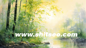 SEO需要具备怎样的综合能力