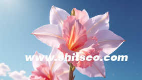 小红书代运营合同范本解析与使用建议