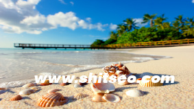 【会销SOP流程全解析】标准化执行才是业绩爆发的关键！