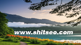 ririai网站域名的SEO优势分析