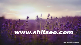 SEO优化价格分析：影响因素与服务选择