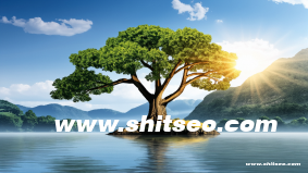 石家庄网站SEO——助力本地企业占领搜索引擎高地