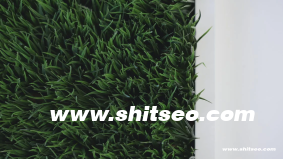 SEO排名点击器：提升网站排名的秘密武器
