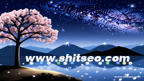 Gomk-69网站域名——独特域名价值与优化运营指南