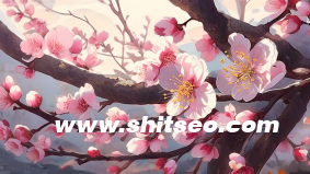 小红书，引领社交电商新潮流的运营公司