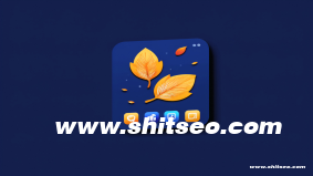廊坊网站SEO优化策略：提升网站排名与品牌曝光