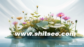 邮件营销的步骤指南