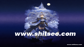整站优化系统：提升网站整体表现的利器