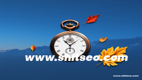 湘西网站SEO：提升本地企业网络竞争力的有效策略