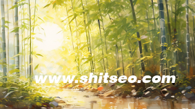 新站长必学的SEO优化！