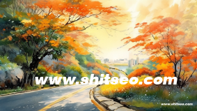 适合菜鸟学习的网站制作教程